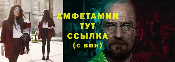 молекула духа Алексин