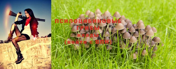 дурь Алзамай