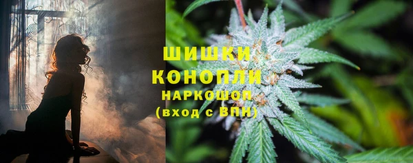 гидропоника Абаза
